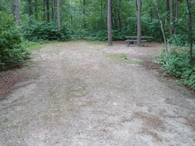site 5