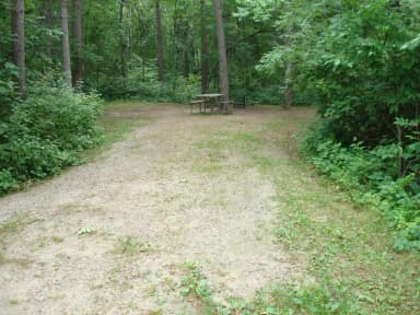 Site 006 at Cass Lake Loop
