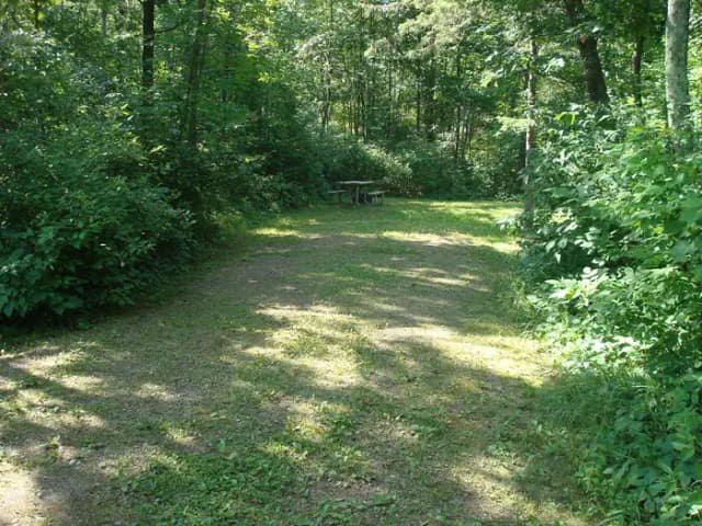 site 9