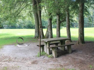 Group Site 1 (B Loop Site 43) - Tent Nonelectric