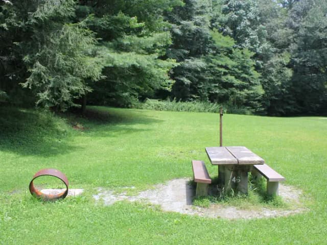 Group Site 2 (B Loop Site 46) - Tent Nonelectric