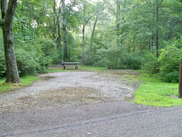 Loop ASPE · Site A003 at Mill Creek Camping (Berlin Lake)