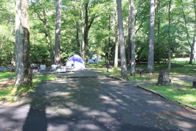 A Loop Site 20 - Tent Nonelectric (Handicap Accessible)