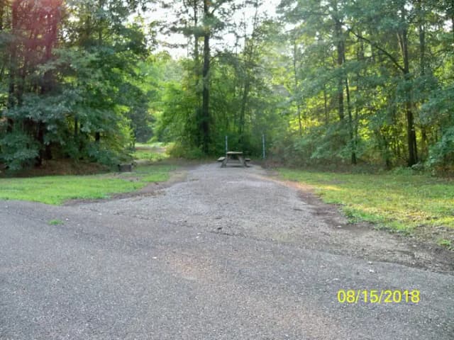 Loop ASPE · Site A080 at Mill Creek Camping (Berlin Lake)