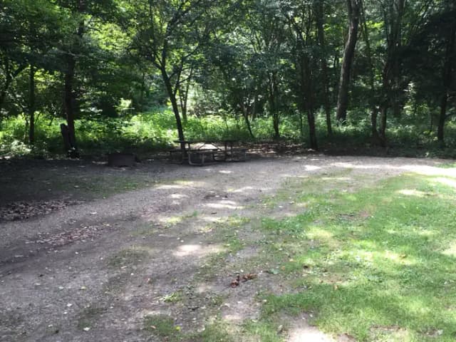 Buckaloons Site 11