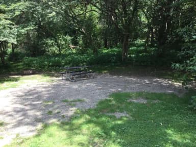 Buckaloons Site 31