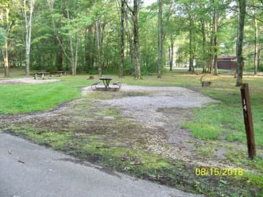 Buckeye · Site B14 at Mill Creek Camping (Berlin Lake)