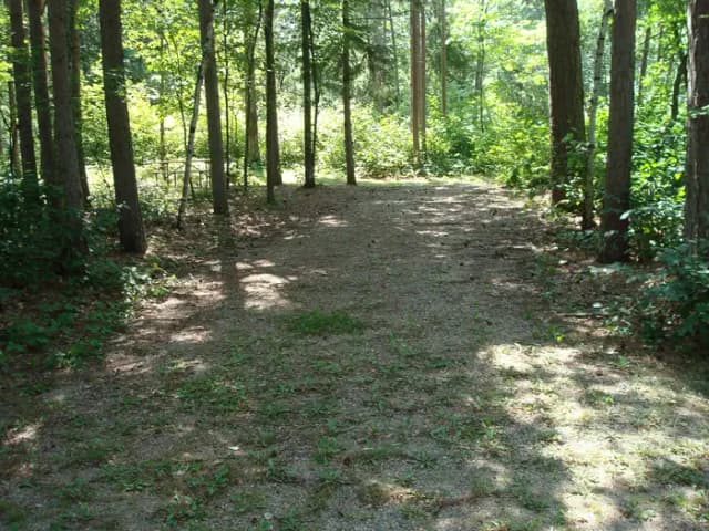 site 125