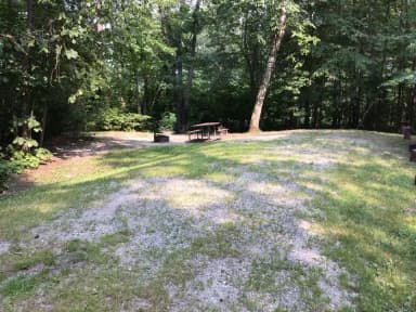 Site 4