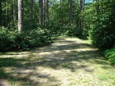 Site 126 at Wanaki Loop