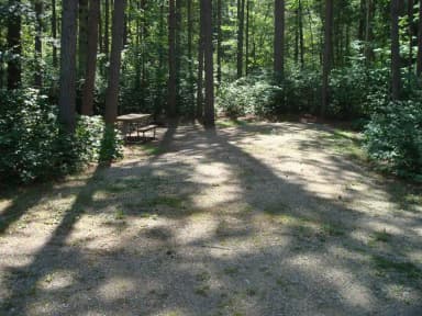 Site 127 at Wanaki Loop