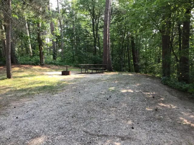 Site 5