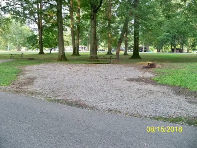 Buckeye 19