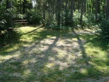 Site 131 at Wanaki Loop