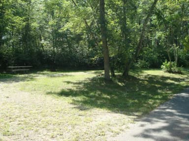 Site 131A at Wanaki Loop