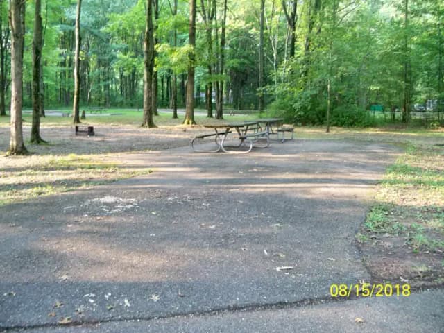 Buckeye · Site B26 at Mill Creek Camping (Berlin Lake)