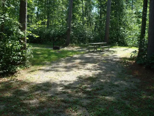 site 135