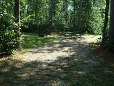 Site 135 at Wanaki Loop