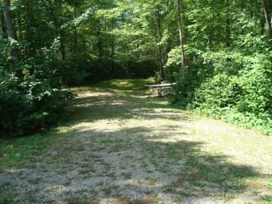 Site 136 at Wanaki Loop