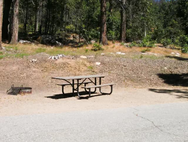Forks Campground