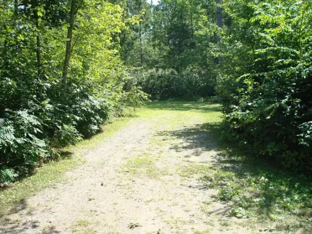 site 137