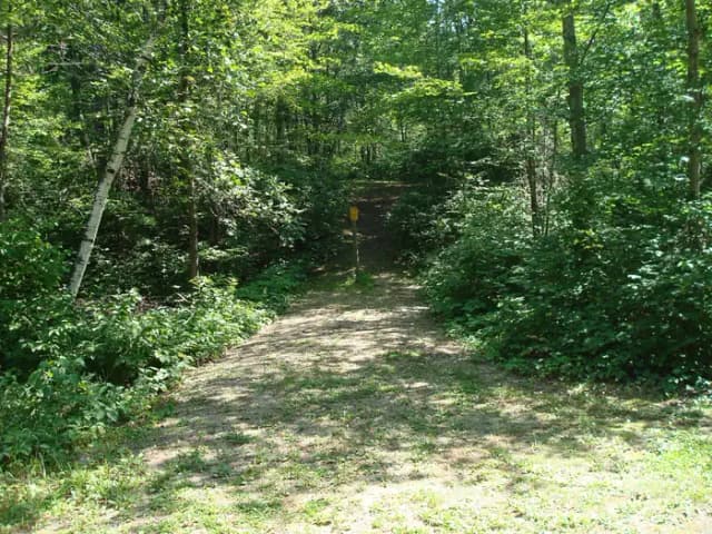 site 141