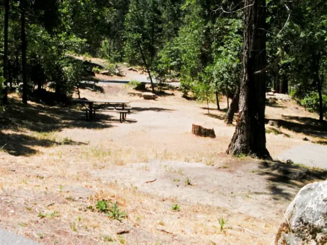 Forks Campground