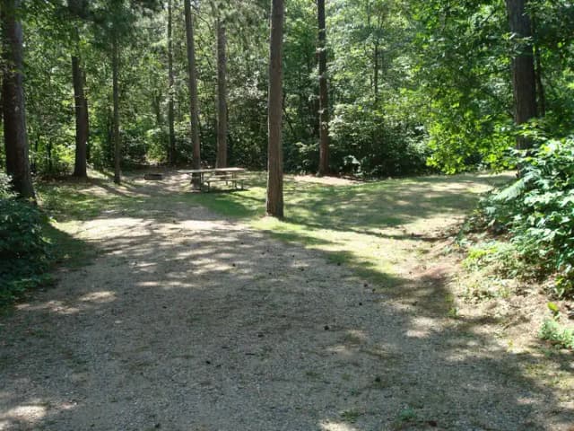 site 142
