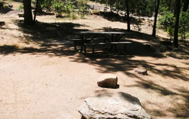 Site 011, Forks Campground