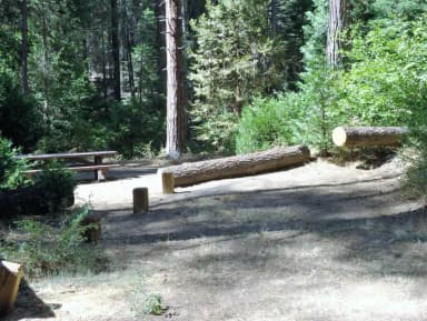 Site 03 at Eshom Campground