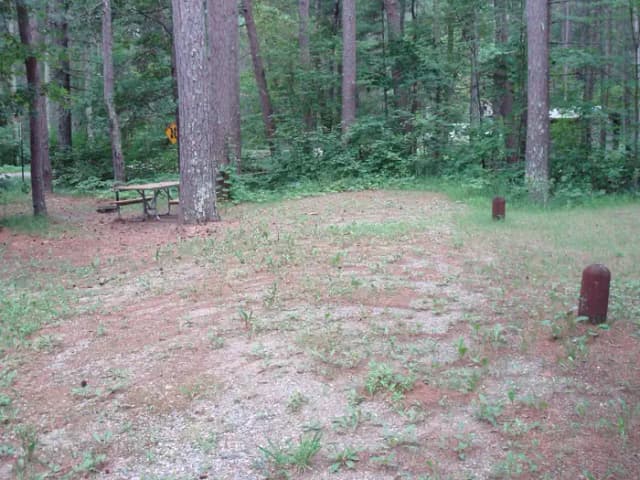 site 24