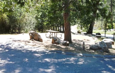 Forks Campground