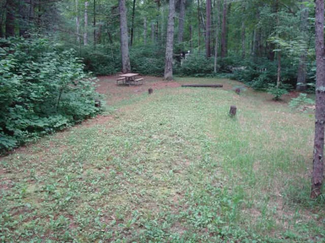 site 25