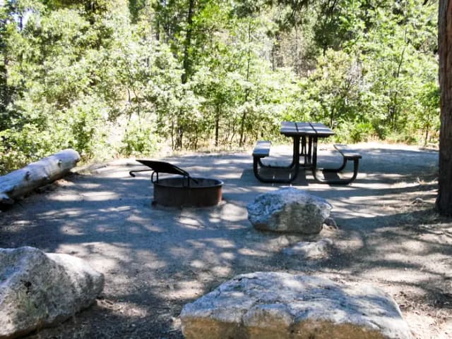 Forks Campground