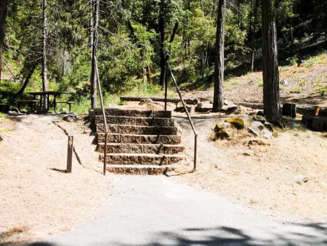 Forks Campground