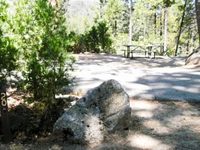 Forks Campground