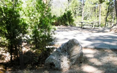 Forks Campground