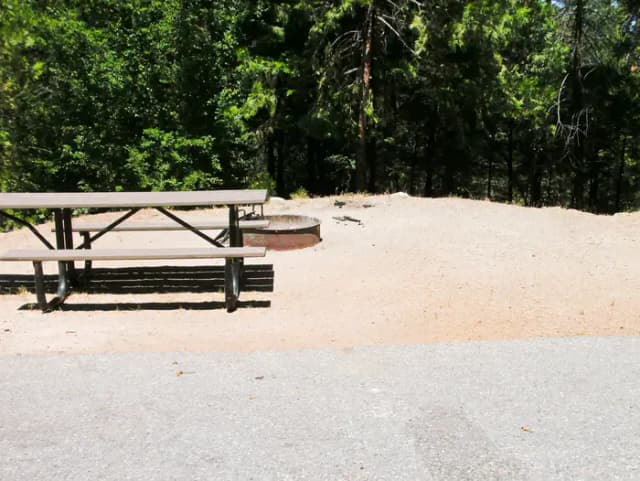 Forks Campground