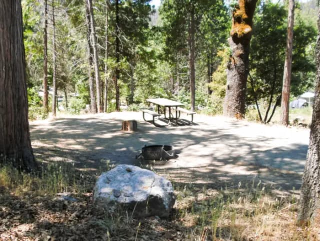 Forks Campground