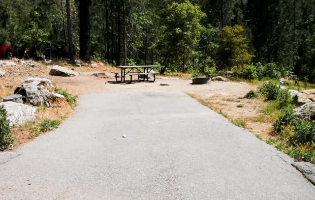 Forks Campground