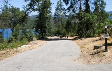 Forks Campground