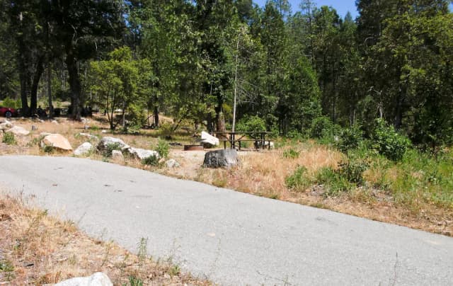 Forks Campground