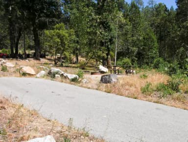 Forks Campground