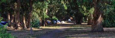 Tents in forested area., filed by the agency against 9 campsites at Santa Cruz Island Scorpion