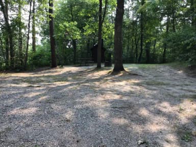 Site 10