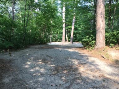 Site 11