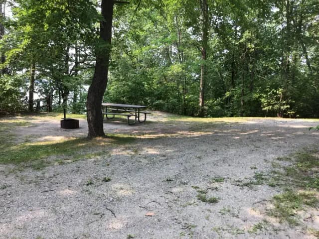 Site 12