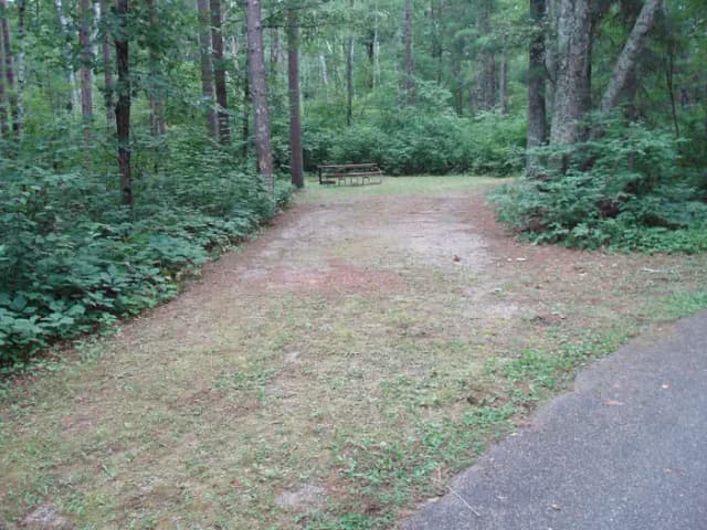 site 29