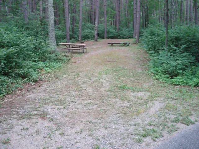 site 31