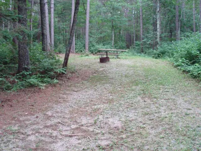 site 33